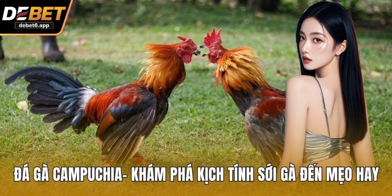Đá Gà Campuchia