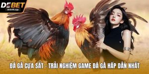 Đá Gà Cựa Sắt