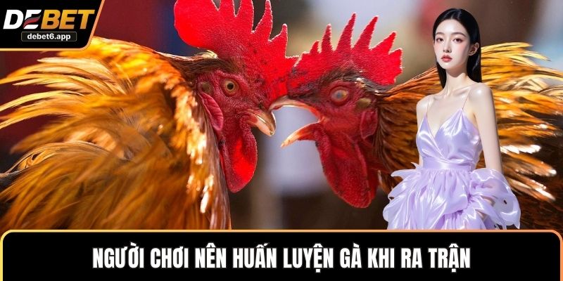 Người chơi nên huấn luyện gà khi ra trận 