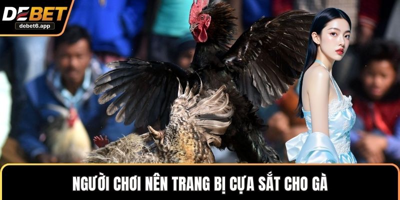 Người chơi nên trang bị cựa sắt cho gà