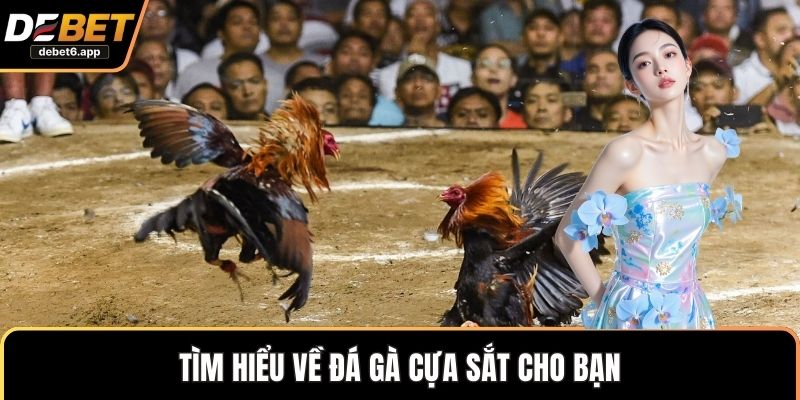 Tìm hiểu về đá gà cựa sắt cho bạn